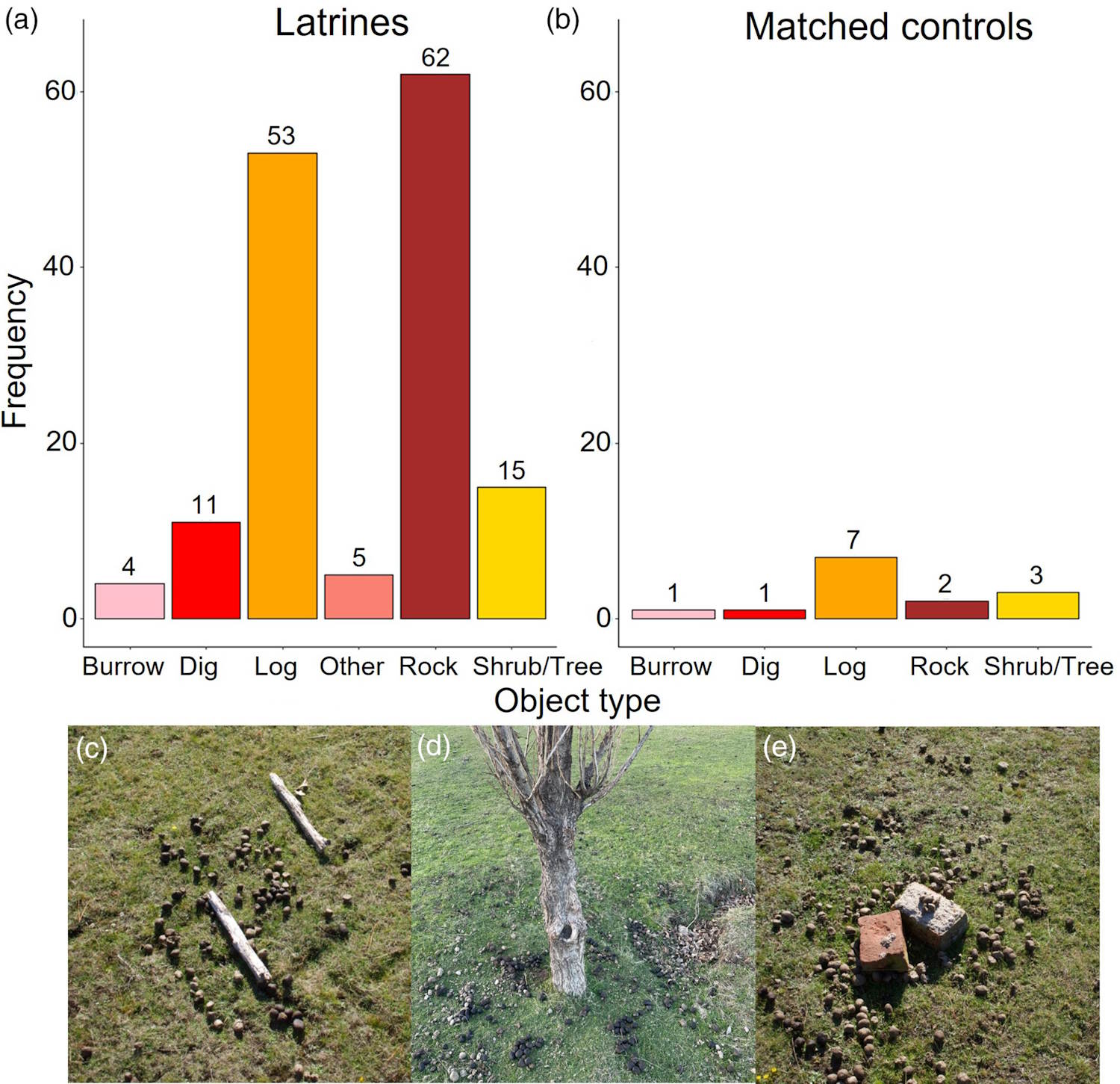 Échange d'informations sur les caca de cubes de wombats