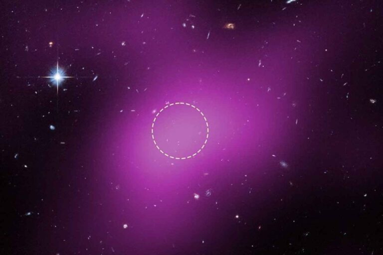 Découverte de Cloud-9, un objet astronomique jamais observé auparavant qui nous oblige à réécrire les règles de l'univers