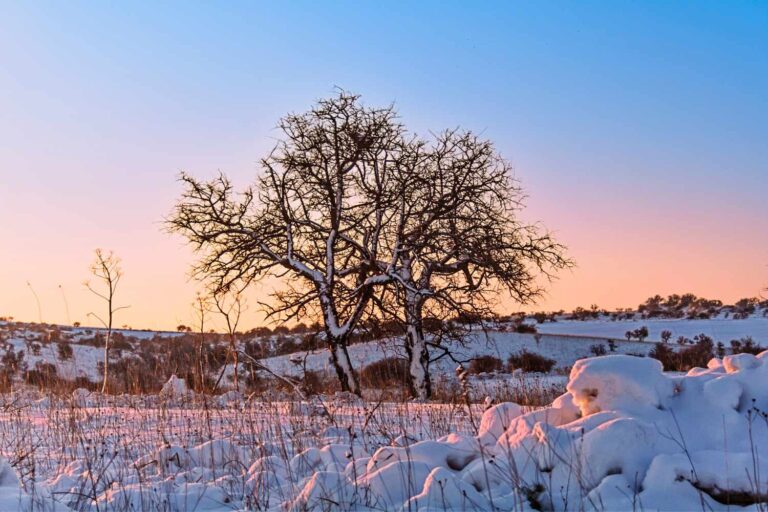 La neige arrive dans les Pouilles et en Sicile, y a-t-il de la neige en vue aussi à Rome ?