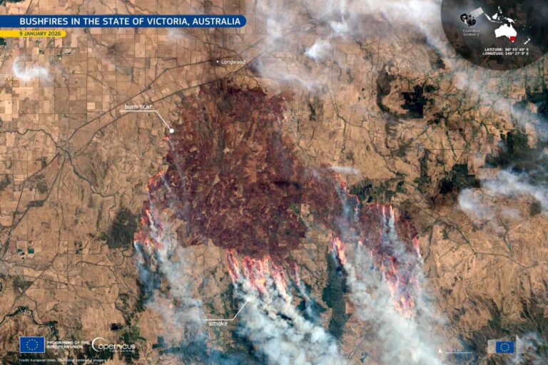 Incendies de forêt dévastateurs en Australie : un mort, plus de 300 bâtiments détruits et plus de 350 000 hectares en flammes