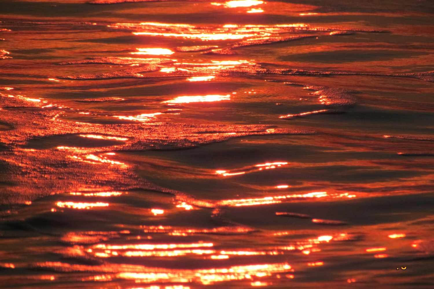 Les océans sont en ébullition : des vagues de chaleur record nous exposent donc à des catastrophes climatiques