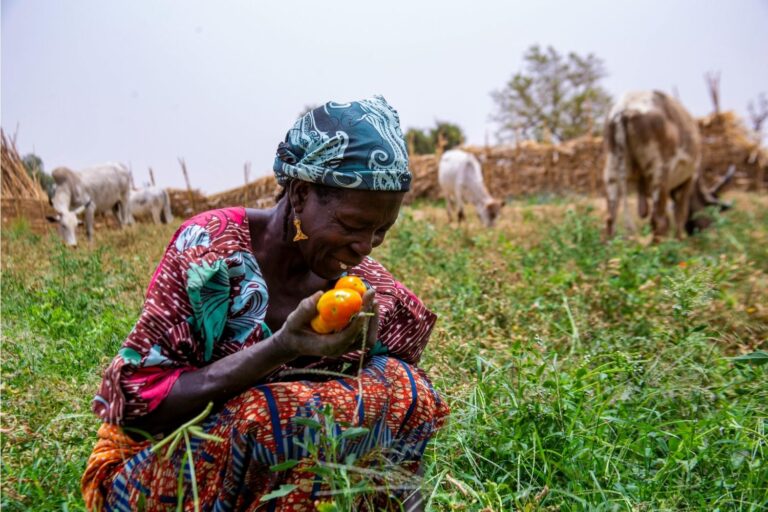 Saviez-vous que 2026 est l’Année des femmes dans l’agriculture ? Votre sécurité alimentaire dépend de leur travail (invisible)