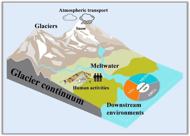 glaciers antibiotiques climat