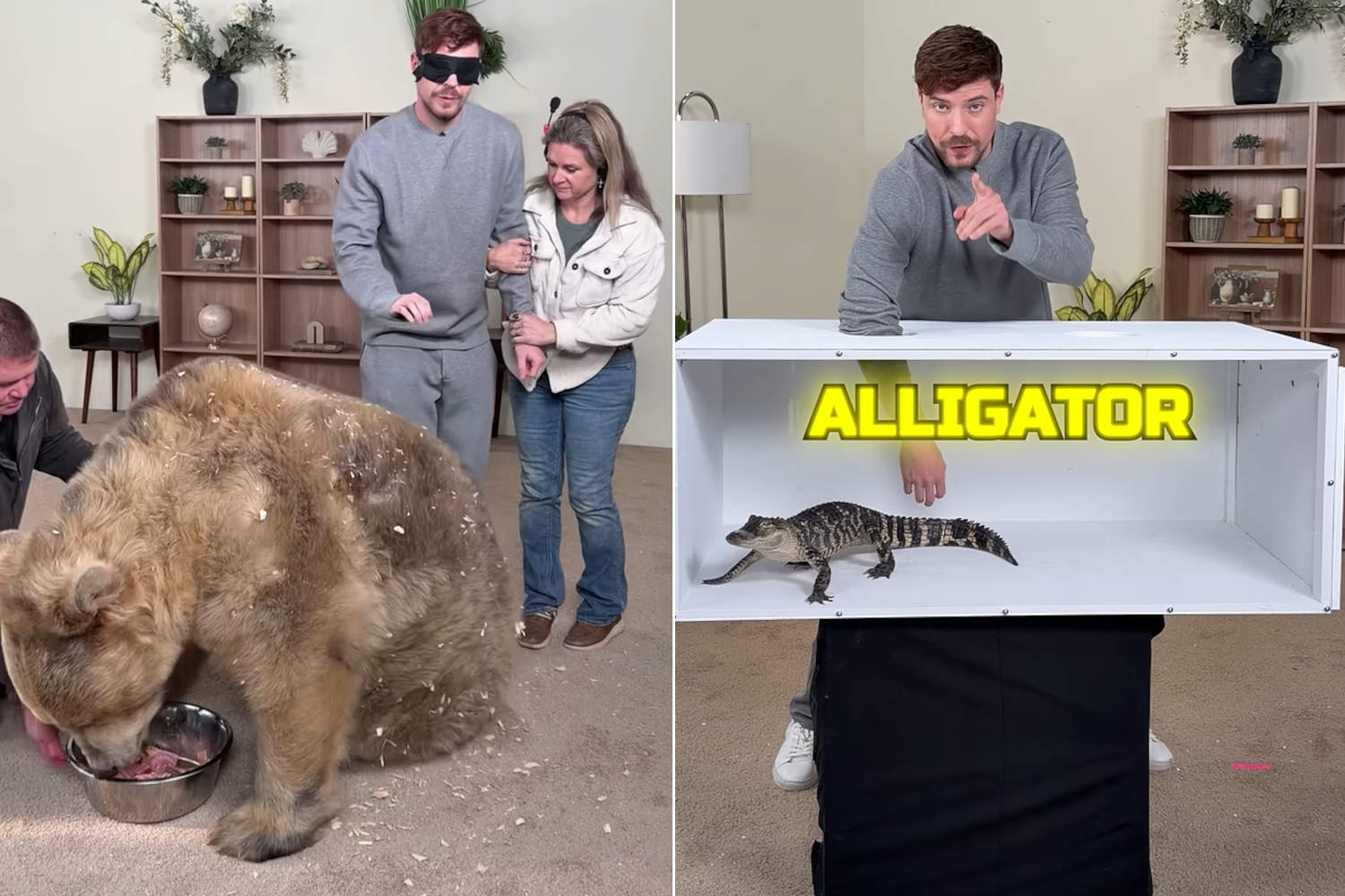 Mr Beast