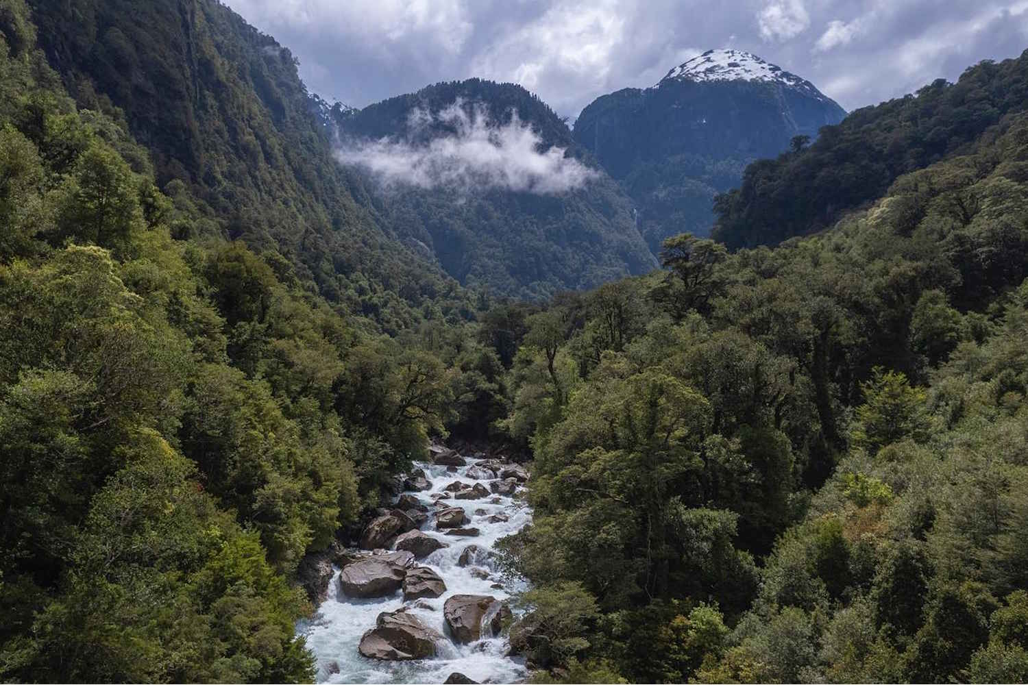 patagonia