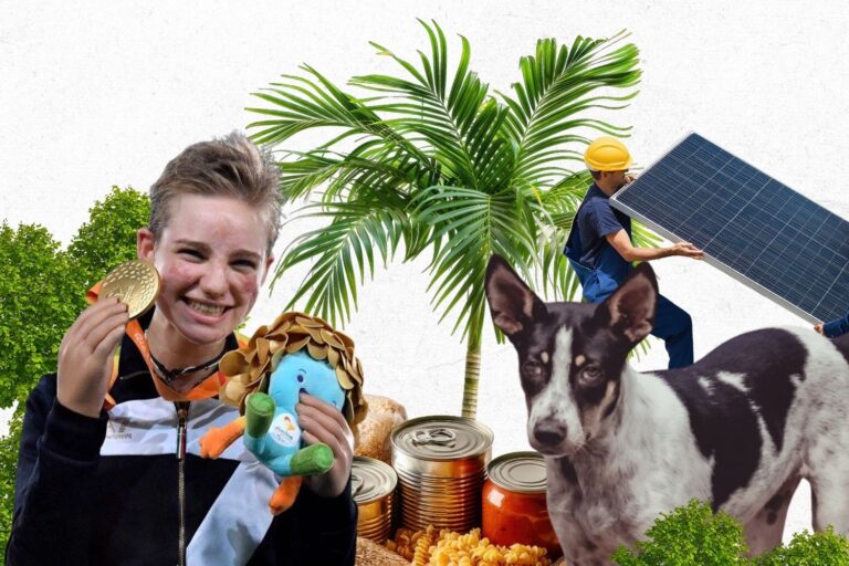 Ce sont les meilleures nouvelles de 2016