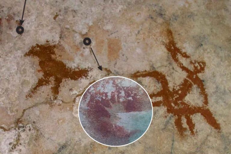 La plus ancienne peinture rupestre découverte : une main vieille de 67 800 ans qui réécrit l'histoire de l'art