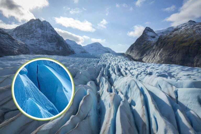 Il existe un glacier qui grandit à mesure que la planète se réchauffe (et les scientifiques espèrent découvrir ses secrets)