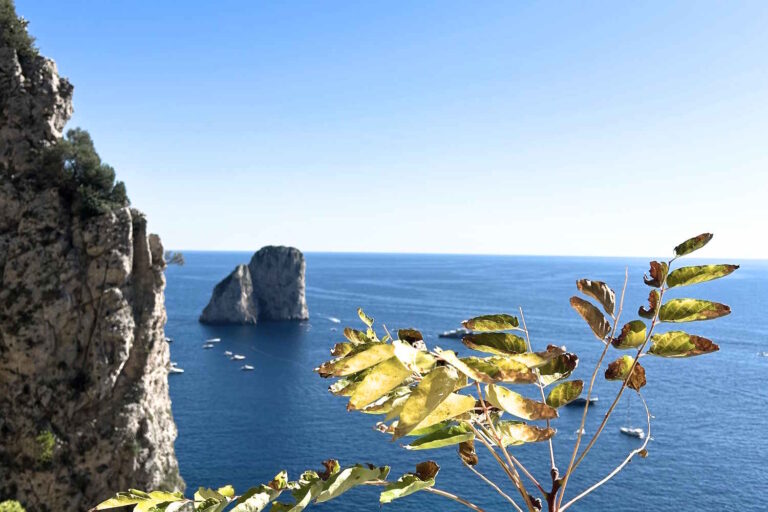 L'Aire Marine Protégée de Capri est née, feu vert du Sénat : c'est une grande réussite pour la biodiversité