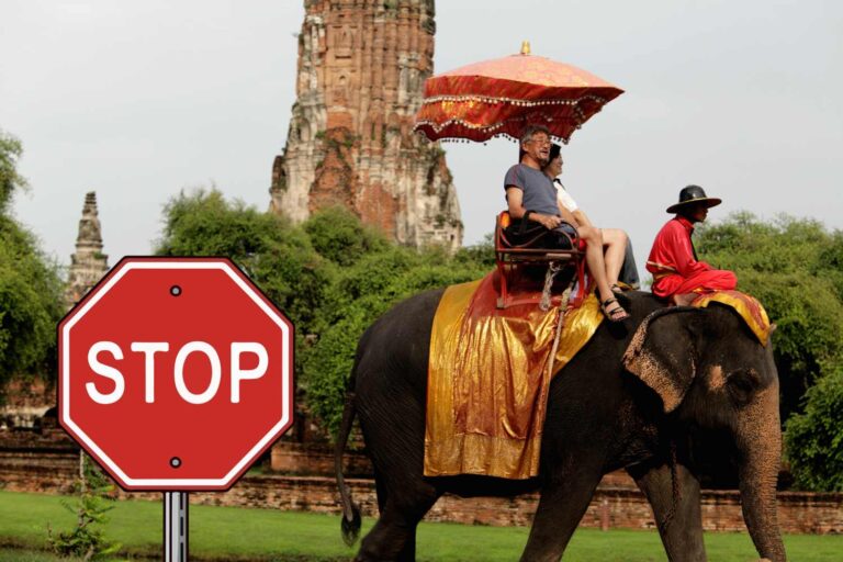 Victoire! L'Indonésie a interdit les excursions touristiques à dos d'éléphants : c'est le premier pays d'Asie à dire non à ce commerce cruel