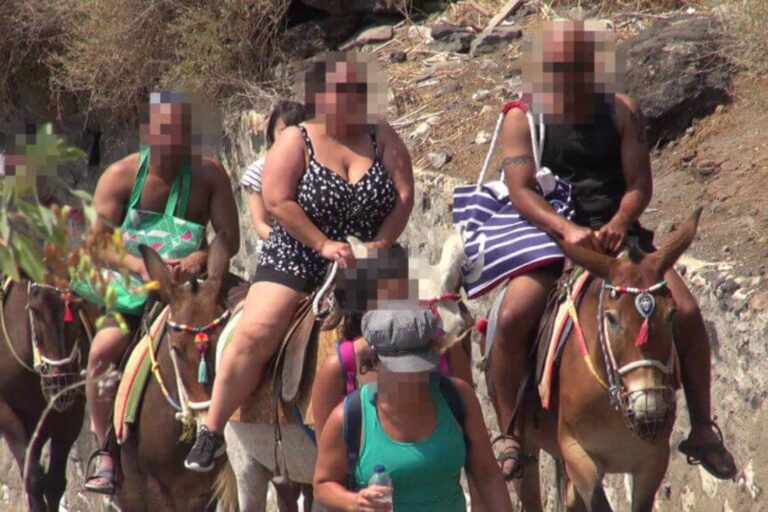Qu'est-ce que c'est que cette affaire d'interdire les promenades à dos d'âne aux touristes en surpoids à Santorin (et pourquoi cela ne suffit pas)