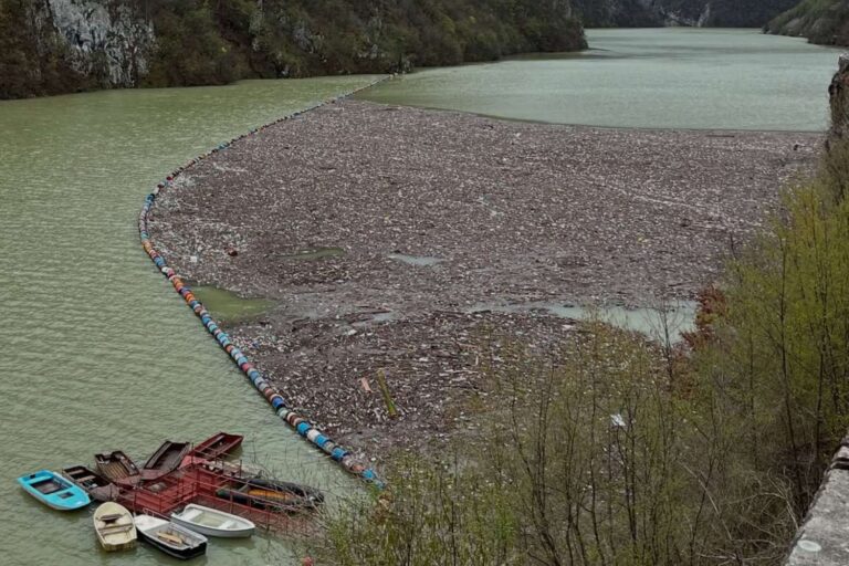 Rivière d'ordures : des tonnes de déchets étouffent la Drina (et ses poissons), le désastre écologique se répète en Bosnie