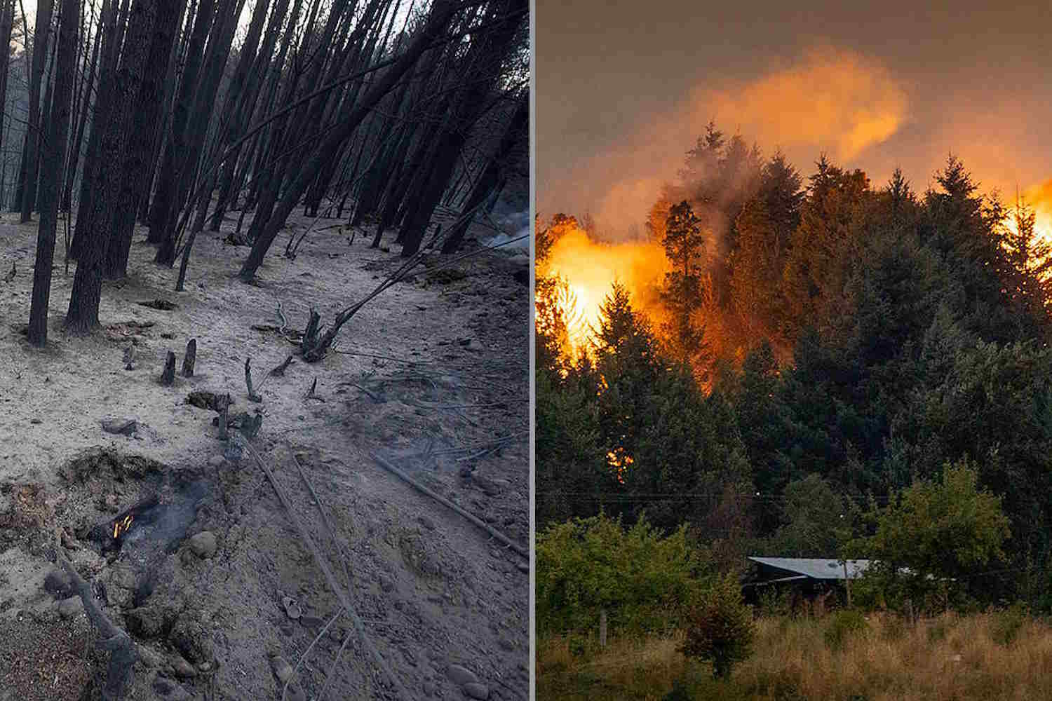 patagonia incendi