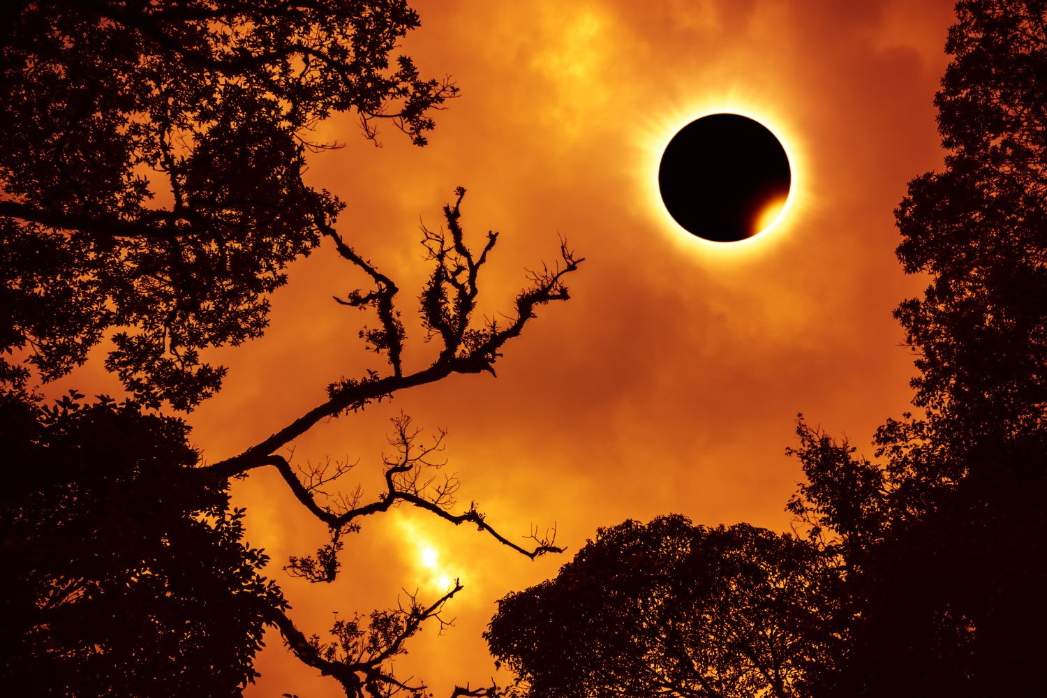 eclissi solare