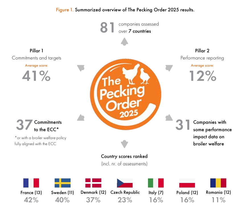 l'ordre hiérarchique 2025 graphiques