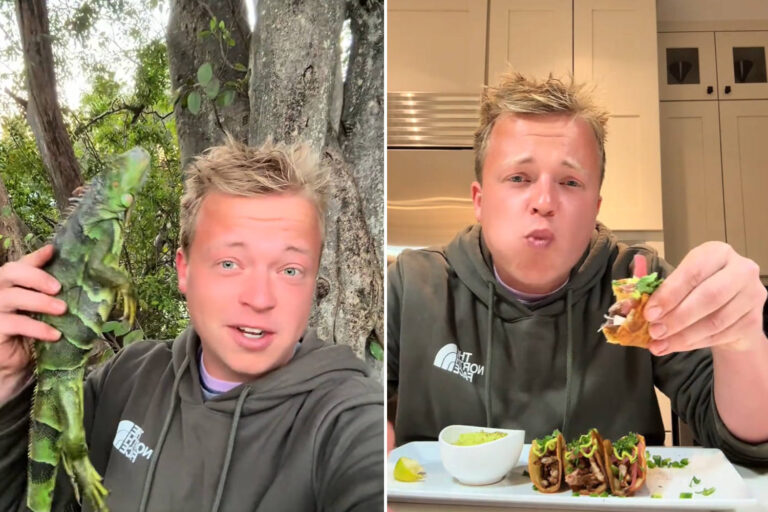 Faire des tacos avec un iguane gelé tombé d'un arbre en Floride (tuant aussi 20 œufs) : la vidéo choc