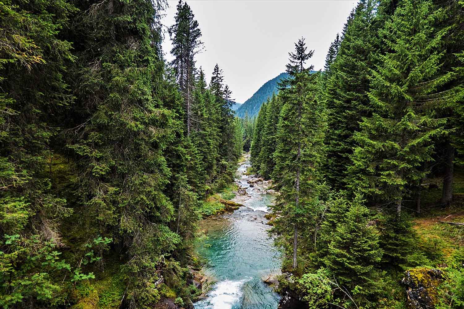 Parco Naturale Paneveggio