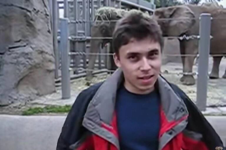 La première vidéo YouTube entre dans l'histoire : elle sera exposée au Victoria and Albert Museum (mais malheureusement elle a été filmée dans un zoo)