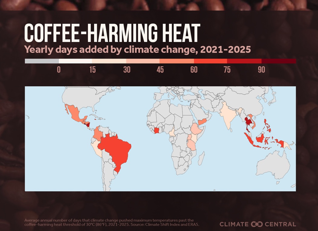 infographie sur l'étude sur le changement climatique dans le café