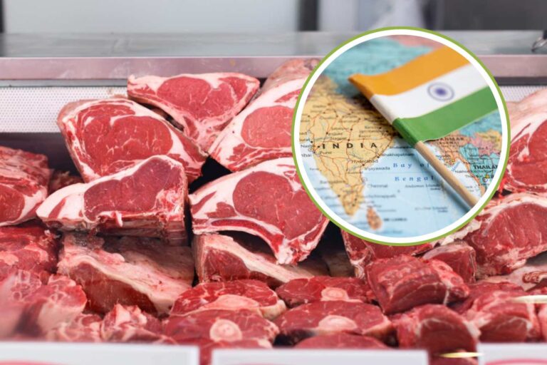 Cette ville a été la première au monde à interdire la vente et la consommation de viande (et l'abattage d'animaux)