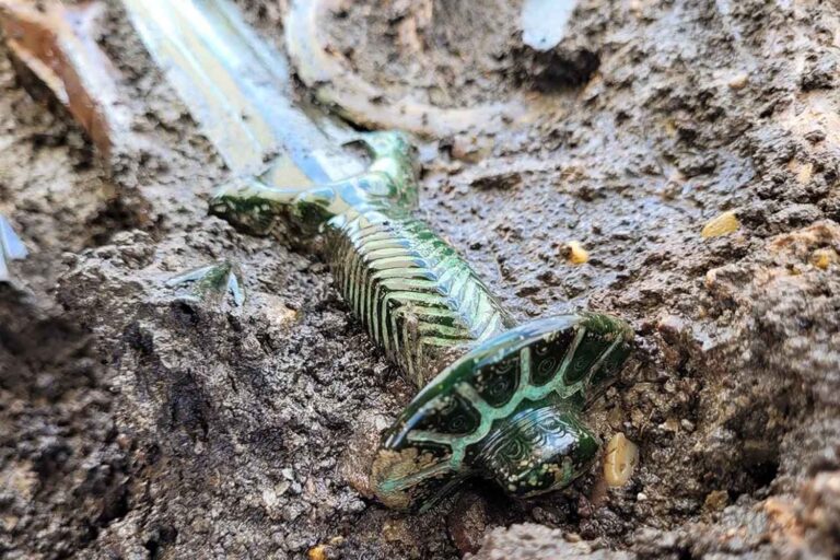 Bavière, une épée octogonale intacte datant d'il y a 3 500 ans refait surface