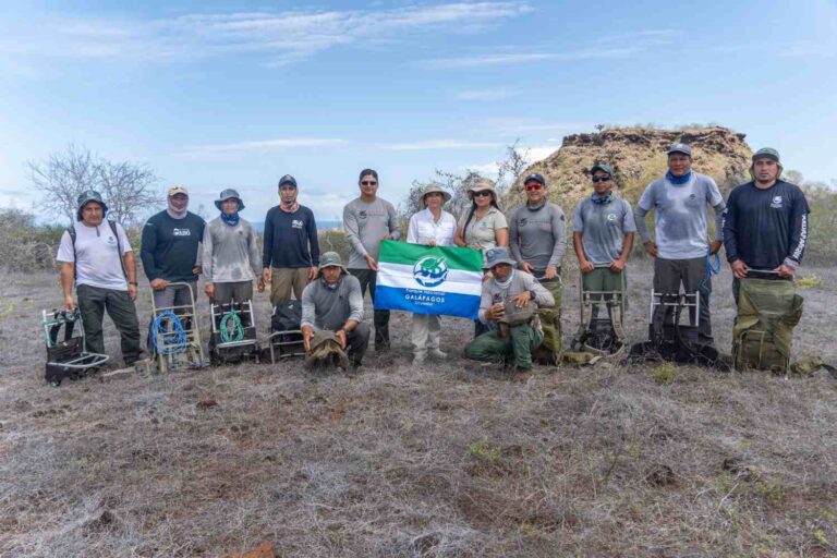 Après plus d'un siècle d'absence, 158 tortues géantes sont de retour sur cette île des Galápagos, un tournant historique pour la conservation