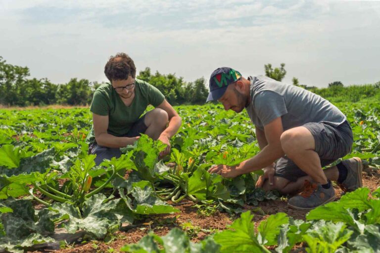 NaturaSì lance la campagne sur le « juste prix de l'alimentation » : combien valent réellement les services écosystémiques des agriculteurs biologiques