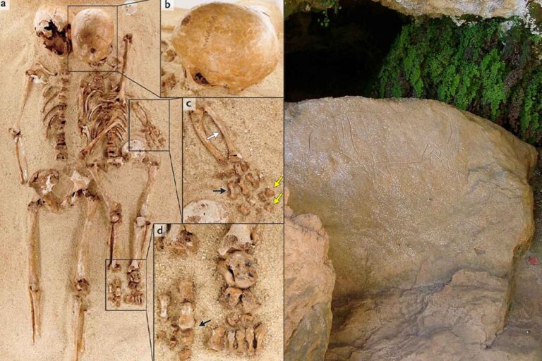 Une étreinte de 12 000 ans révèle l'histoire secrète de la mère et de la fille dans la Grotta del Romito