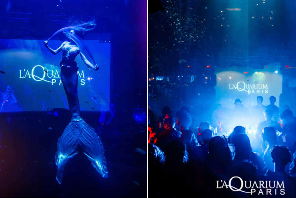 Soirées dansantes dans l'aquarium