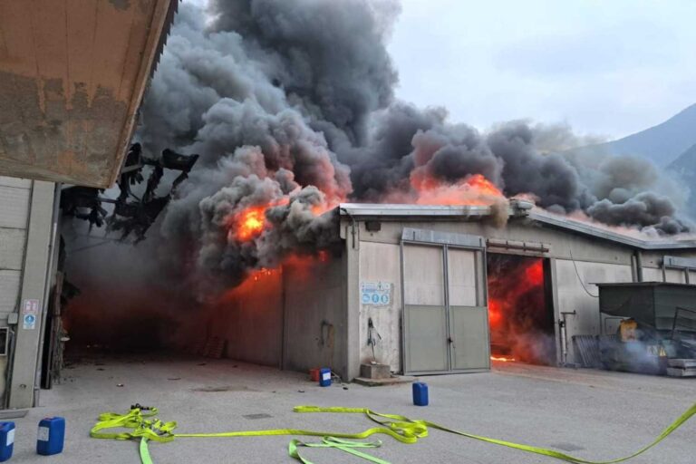 Incendie dans une ferme du Trentin : plus de 250 taureaux piégés dans un incendie sont morts