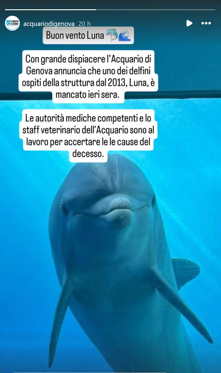 Aquarium Luna de Gênes