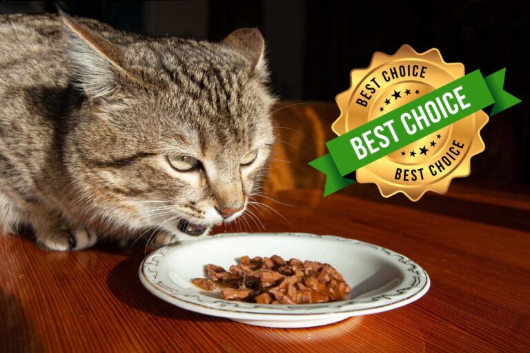 Ces 4 marques de nourriture humide pour chats ne contiennent ni pesticides ni conservateurs