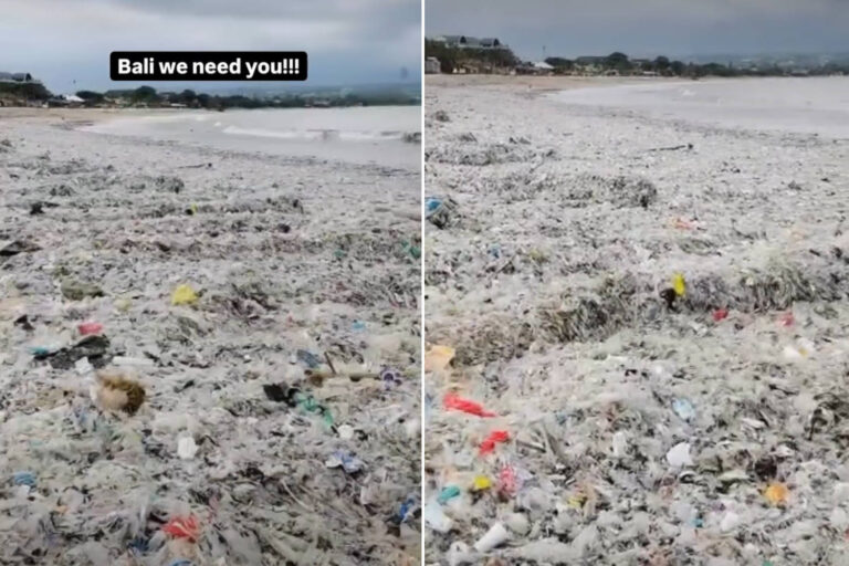 Des bénévoles collectent 115 000 kg de plastique sur une plage de Bali (mais une tempête a suffi à déclencher une nouvelle urgence)