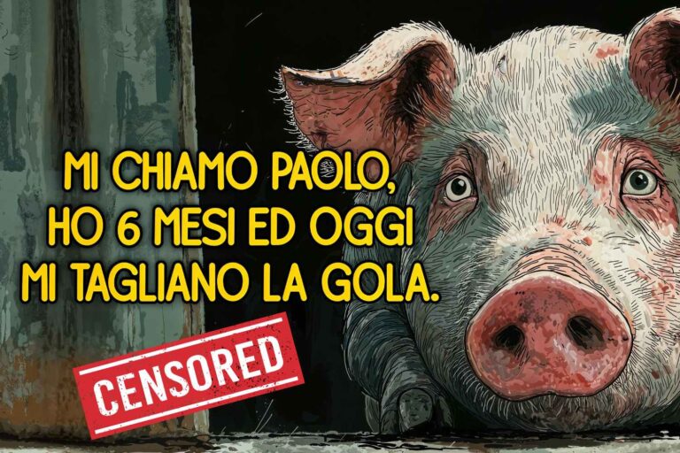 « Notre campagne contre l'exploitation des animaux dans les fermes a été censurée, c'est inacceptable » : la plainte de LAV