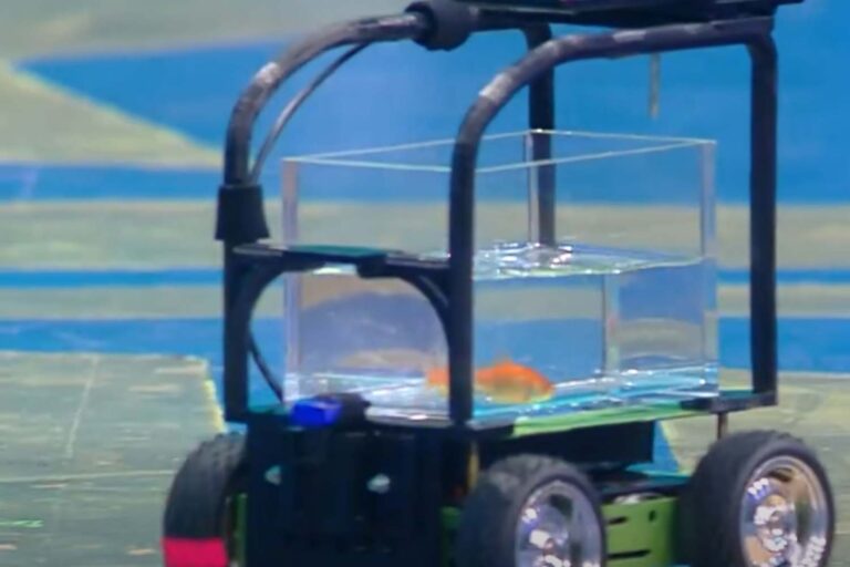 Un poisson rouge record du monde Guinness conduit une voiture de haute technologie et pourrait aider les personnes handicapées, mais qui pense à son bien-être ?