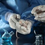 Enfin l’UE interdit les tests sur les animaux pour les détergents (mais pas tous) : ce qui change réellement et les nombreuses lacunes qui subsistent