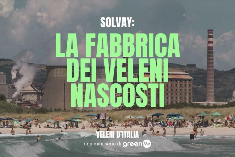 l'usine aux poisons cachés