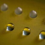 Les scientifiques ont découvert un champignon du sol capable de geler l’eau, ce qui pourrait être la clé pour manipuler le climat et faire pleuvoir sans substances toxiques.