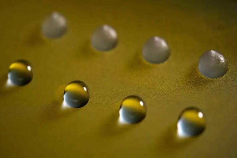 Les scientifiques ont découvert un champignon du sol capable de geler l’eau, ce qui pourrait être la clé pour manipuler le climat et faire pleuvoir sans substances toxiques.