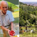 Ce vieil agriculteur de Bologne a sauvé la tomate de la mise en conserve plus au nord de l'Italie