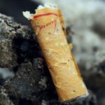 On ne les voit plus, mais ils sont toujours là : une étude révèle ce qui arrive réellement aux mégots de cigarettes dans la terre
