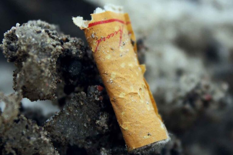 On ne les voit plus, mais ils sont toujours là : une étude révèle ce qui arrive réellement aux mégots de cigarettes dans la terre