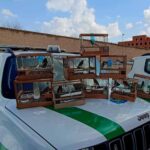 Il a aveuglé les chardonnerets et d'autres espèces protégées pour « les faire chanter davantage », une arrestation a été effectuée dans la région de Caserta : 19 oiseaux sauvés