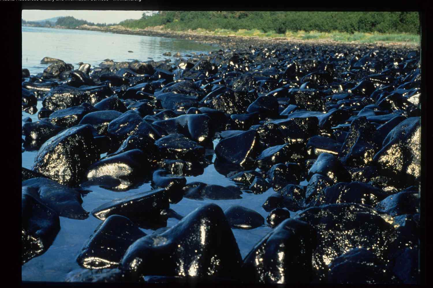 Exxon Valdez