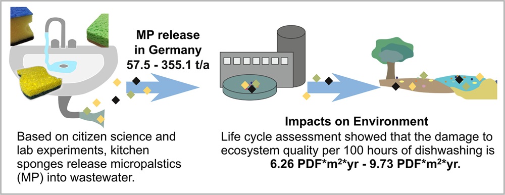 étude des éponges microplastiques