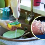 Chaque fois que vous faites la vaisselle avec une éponge, vous rejetez des microplastiques dans l’environnement (mais il y a aussi un autre problème)