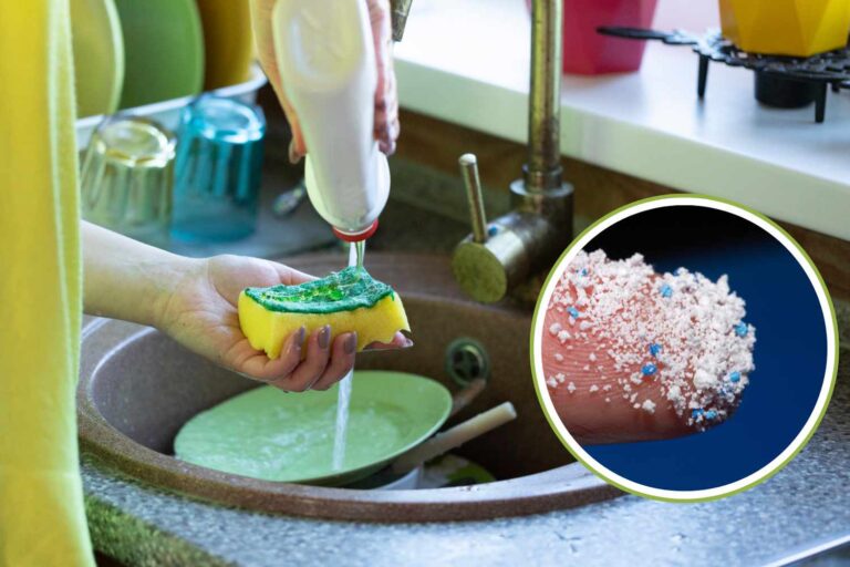 Chaque fois que vous faites la vaisselle avec une éponge, vous rejetez des microplastiques dans l’environnement (mais il y a aussi un autre problème)