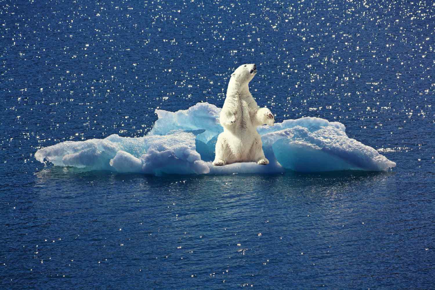 crisi climatica