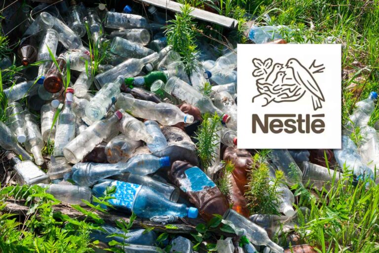 Nestlé en procès en France : derrière ses eaux minérales, des décennies de décharges illégales de bouteilles en plastique (et plus)