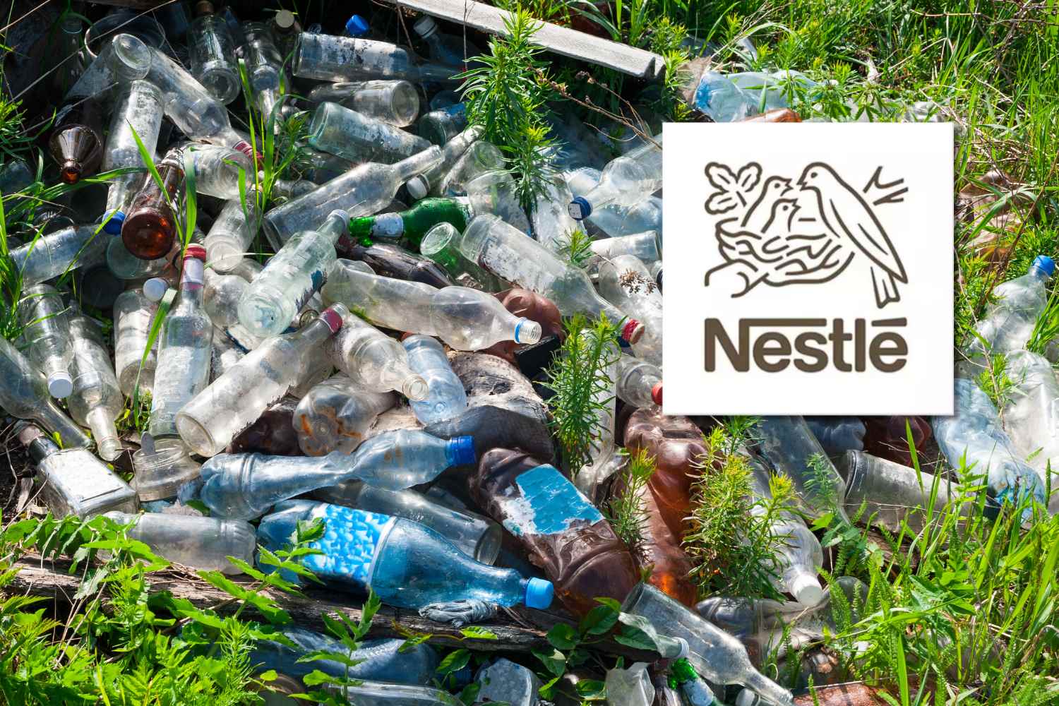 discarica nestlè